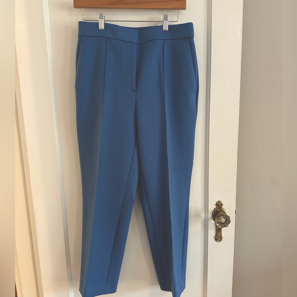 Ann Taylor Curvy Ankle Pants